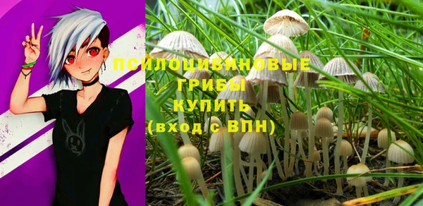 стафф Арсеньев