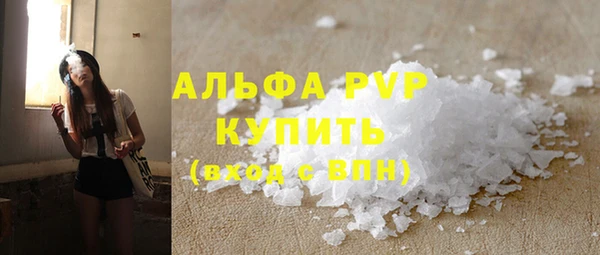 стафф Арсеньев