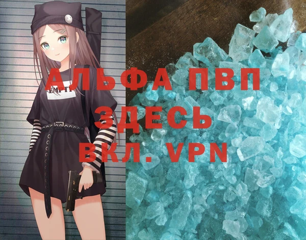 стафф Арсеньев