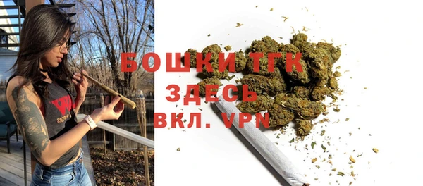 тгк Аркадак