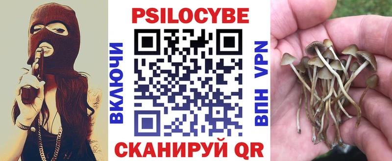 Галлюциногенные грибы Psilocybine cubensis  магазин  наркотиков  Нижние Серги 